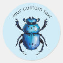 Search for beetle insect stickers Nature