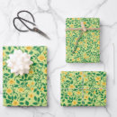 Search for trail wrapping paper Vintage