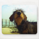 Search for animal beach mousepads Puppy