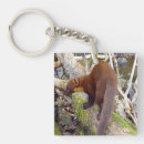 Search for log key rings Wildlife