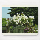 Search for family mousepads White
