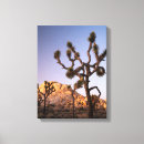 Search for danita delimont canvas prints Ie