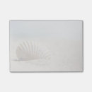 Search for beach day photography Seashell