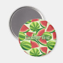 Search for slice magnets Summer
