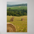 Search for bale posters Ranch