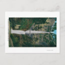 Search for benson postcards Multnomah