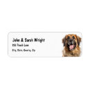 Search for postal return address labels Animal