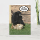 Search for belated birthday cards Funny