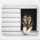 Search for looking at camera mousepads Domestic animals