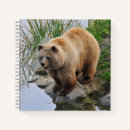 Search for wildlife notebooks Photograph