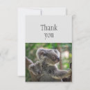 Search for cute bear cards Fun