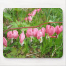 Search for bleeding mousepads Nature