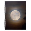 Search for moonbeam Full moon