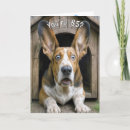 Search for humorous 65th birthday cards Dog