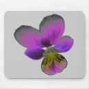 Search for pansy mousepads Purple