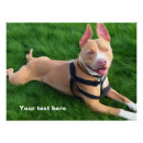 Search for spotted posters Trendy