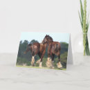 Search for shire cards Breed