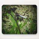 Search for dragon fly electronics Insect