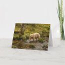 Search for british columbia cards Gordon illg