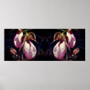 Search for slipper posters Orchid