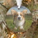 Search for yard christmas tree decorations Cute