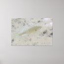 Search for fishes art Water
