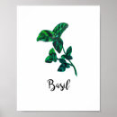 Search for herb art Basil