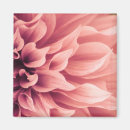 Search for dahlia magnets Garden