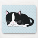 Search for kitty electronics Kitten
