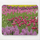 Search for daffodil blossom electronics Environment