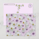 Search for pink daisy postcards Flower
