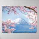 Search for blossoms posters Landscape
