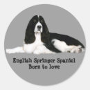 Search for springer spaniel stickers Dog