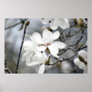 Search for must posters White