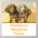 Search for adopt puppy posters Puppies