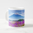 Search for fuji mugs Yamanashi prefecture