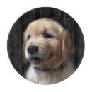 Search for labrador chopping boards Cute