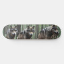 Search for wolves skateboards Nature
