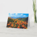 Search for hillside cards Mountain