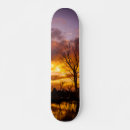 Search for long skateboards Sunset