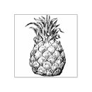 Search for pineapple rubber stamps Hawaii
