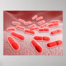 Search for biomolecules posters Illustration