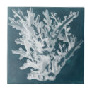 Search for corals tiles Coastal