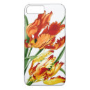 Search for shell parrot Tulip