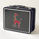 Search for plaid lunch boxes Cool
