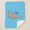 Search for seal blankets America