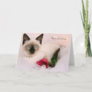 Search for cat rescue christmas cards Kitty