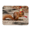 Search for parties rectangular magnets Children