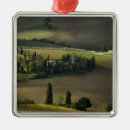 Search for tuscany christmas tree decorations Field