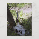 Search for furries postcards Nature